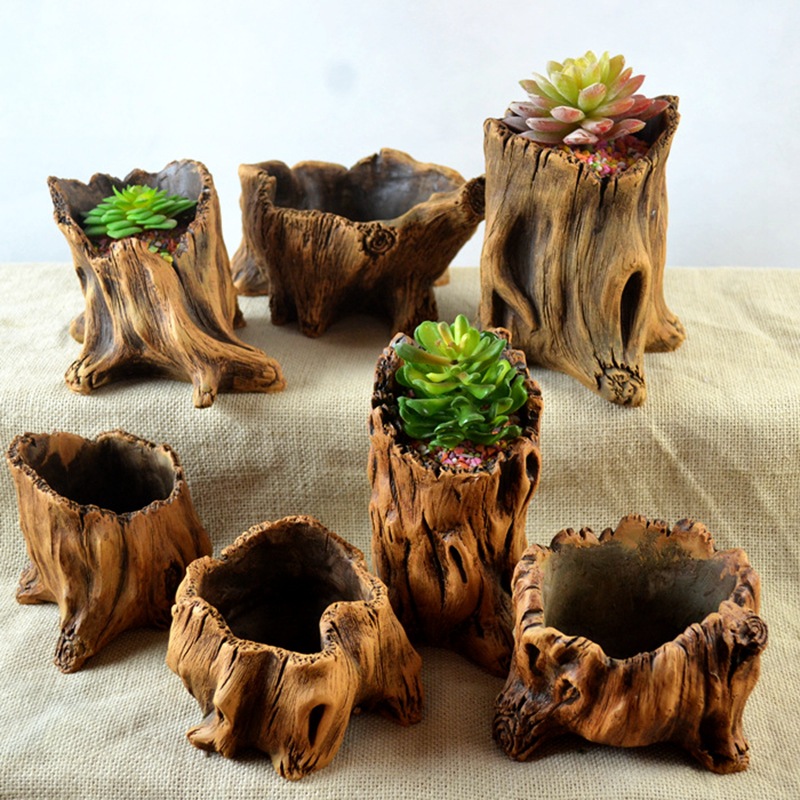 Succulent Set - Pot tanaman pot bunga kreatif, tumbuhan