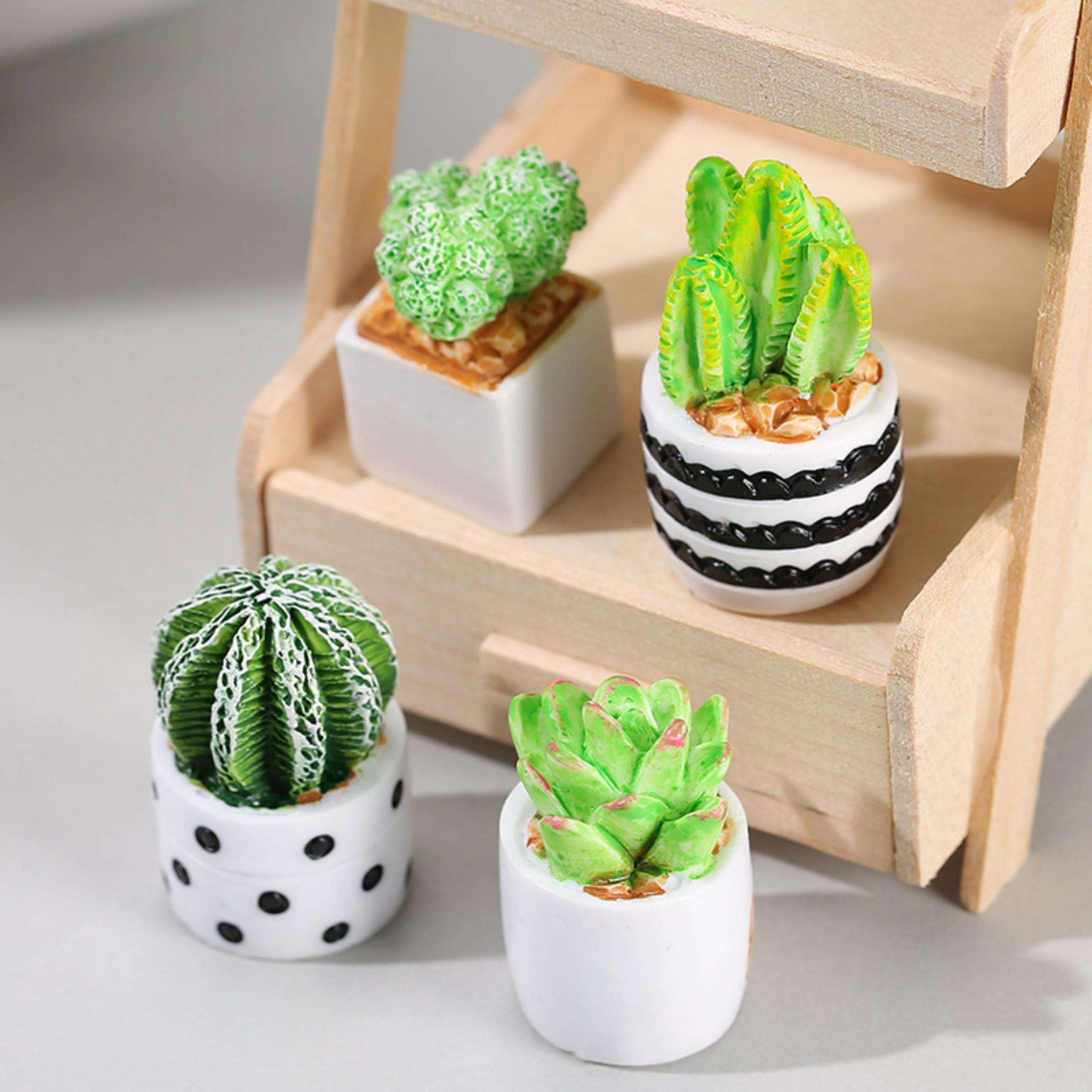 Succulent Set - Set 4-Potong Tanaman Sukulen Kaktus dalam