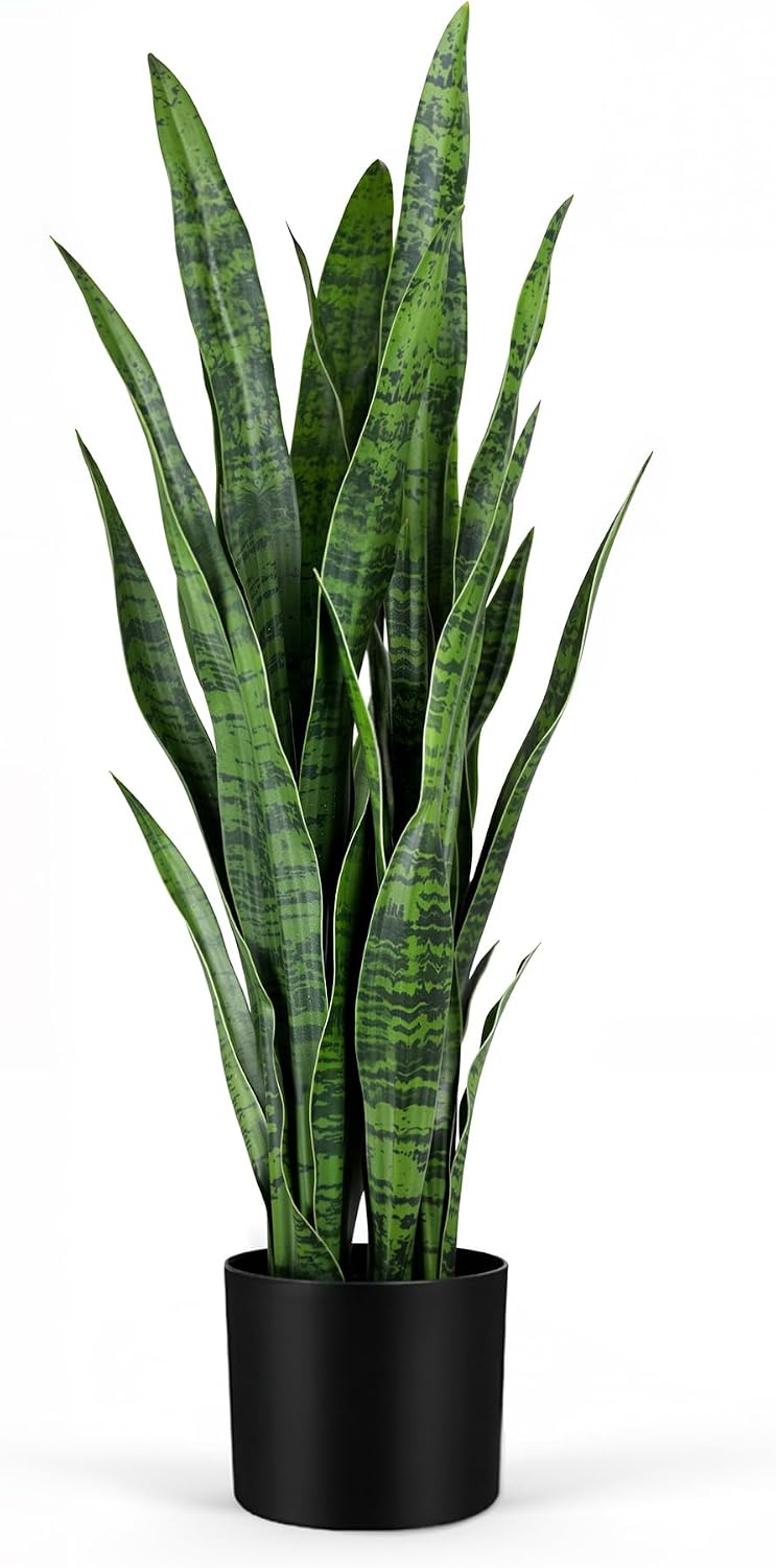 Snake Plant - Tanaman Hias Buatan Berbentuk Ular, Tanaman