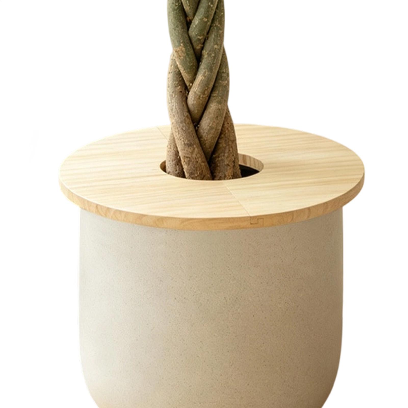 Penutup Pot Bunga Kayu, Pelind - Terracotta Pot ulasan dan harga