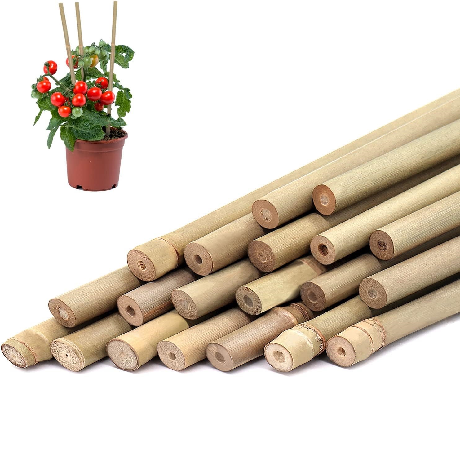 10 buah, pancang tanaman bambu - Plant Support Stake ulasan dan harga