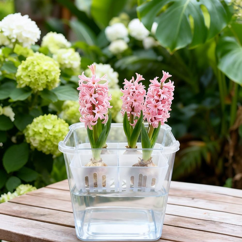Vas Hidroponik untuk Bunga Tul - Indoor Plants ulasan dan harga