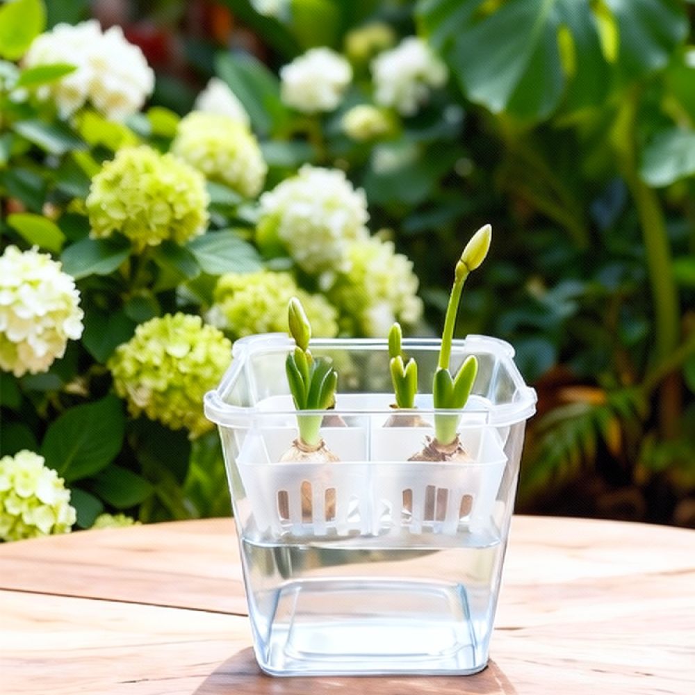Vas Hidroponik untuk Bunga Tul - Indoor Plants ulasan dan harga
