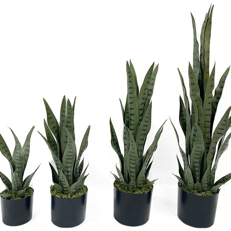 Tanaman Sansevieria Buatan 40- - Snake Plant ulasan dan harga