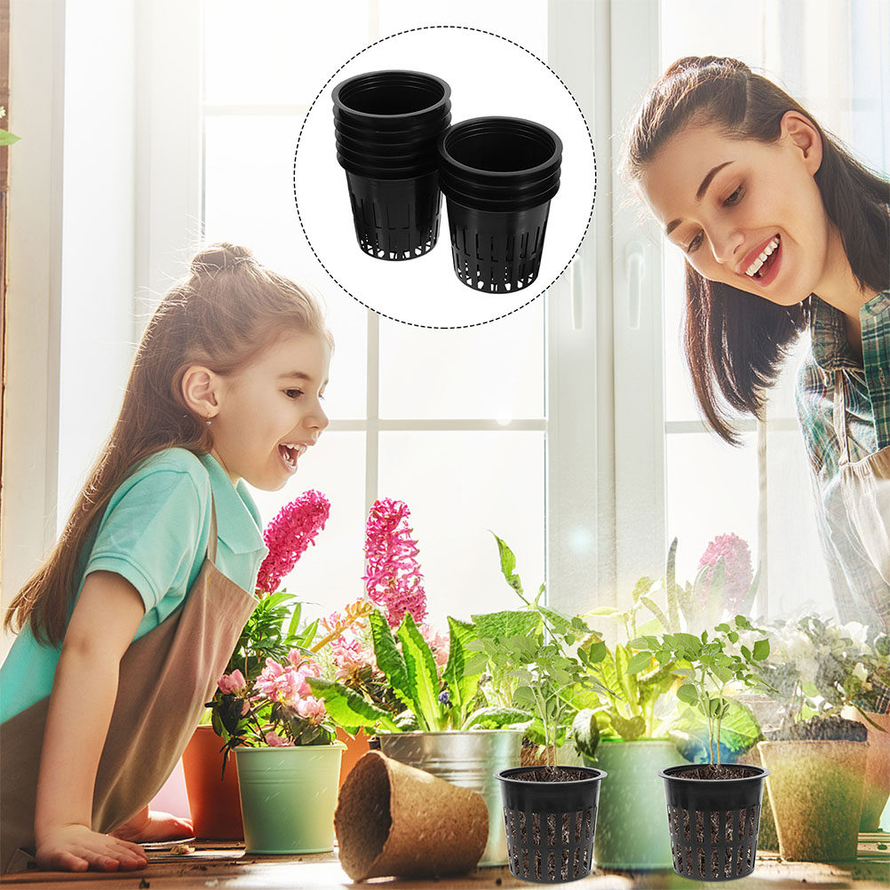 15 Buah Keranjang Tanaman Hidr - Indoor Plants ulasan dan harga