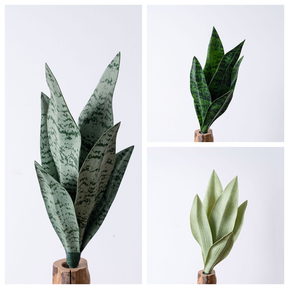 Tanaman Ubur-Ubur Buatan dari  - Snake Plant ulasan dan harga