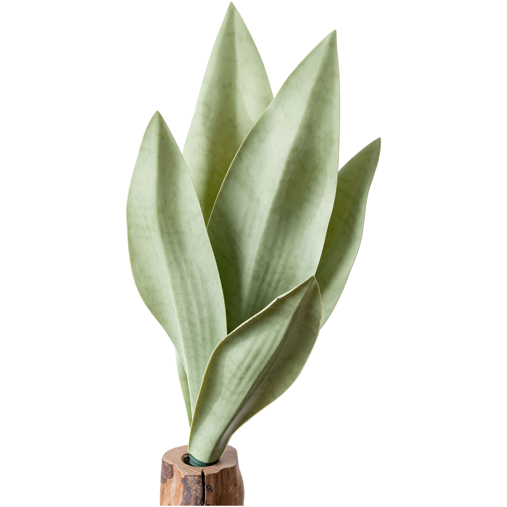 Tanaman Ubur-Ubur Buatan dari  - Snake Plant ulasan dan harga