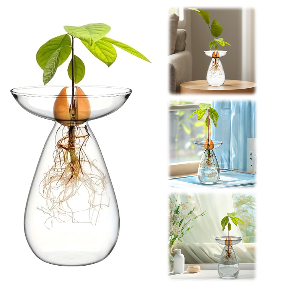 Vas Bunga Hidroponik Alpukat T - Plant Pot ulasan dan harga