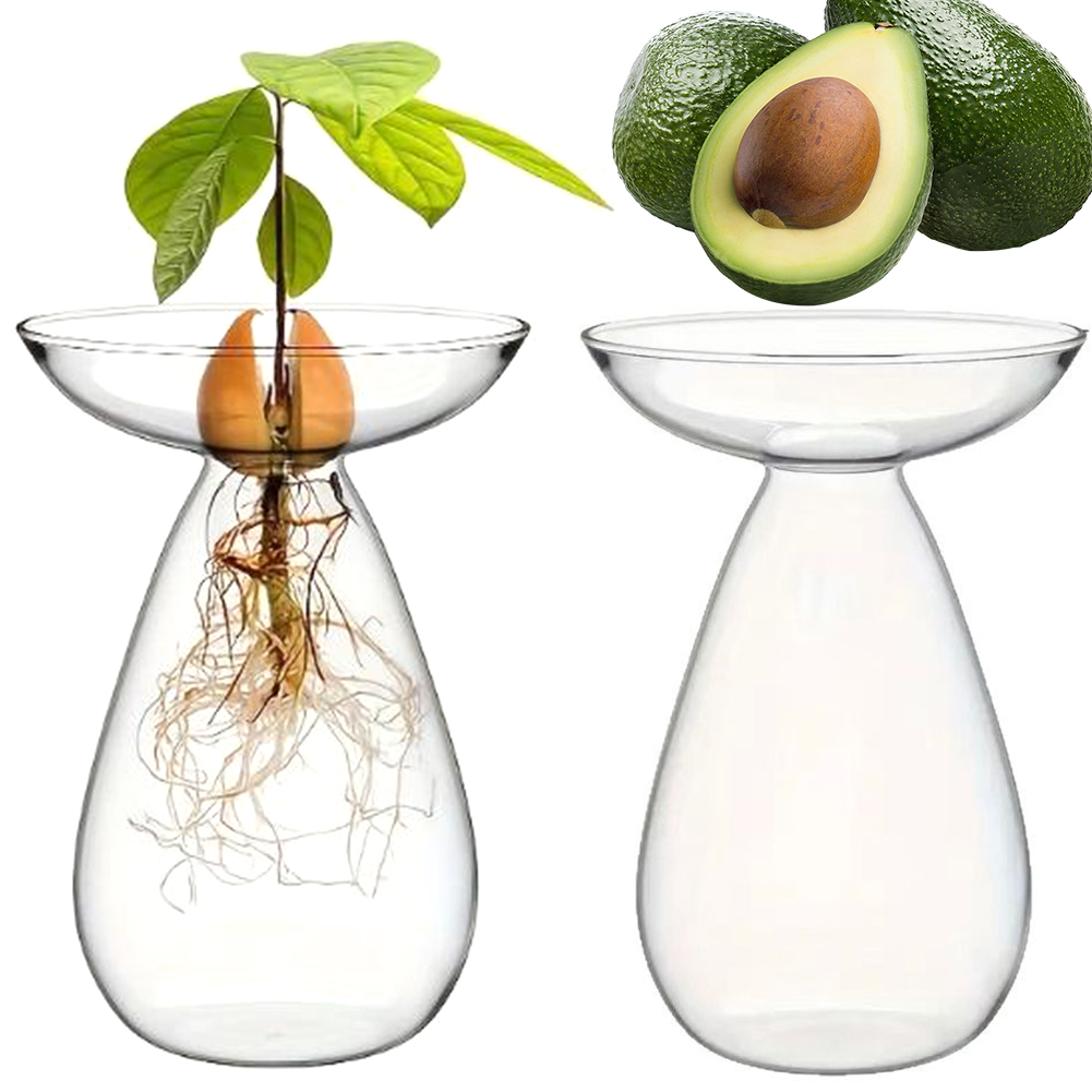Vas Bunga Hidroponik Alpukat T - Plant Pot ulasan dan harga