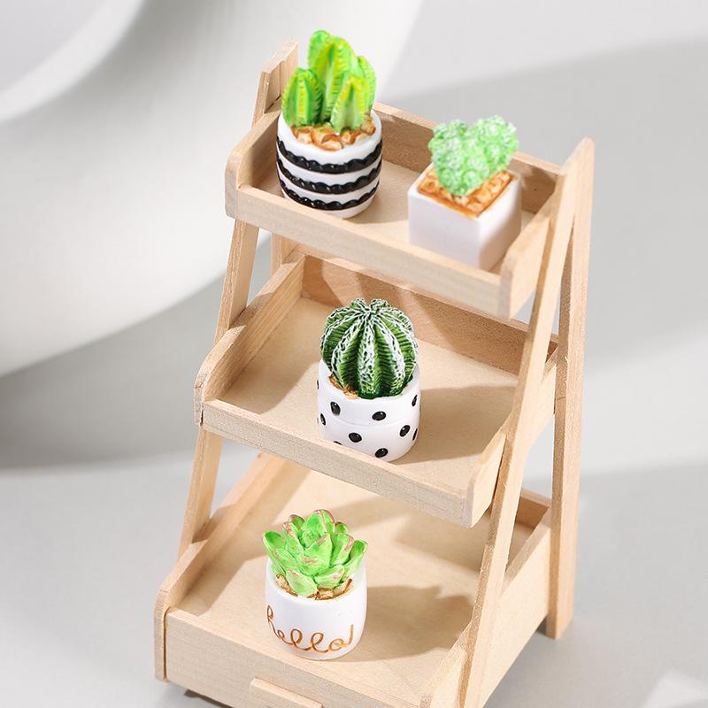 Set 4-Potong Tanaman Sukulen K - Succulent Set ulasan dan harga