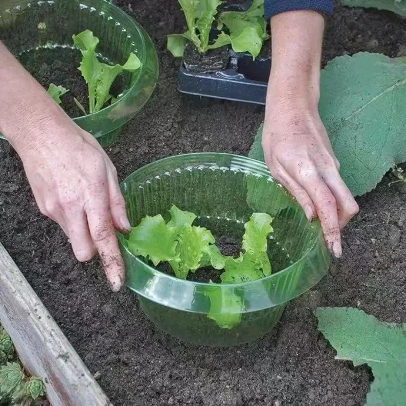 Cincin Pelindung Siput Tanaman - Terracotta Pot ulasan dan harga
