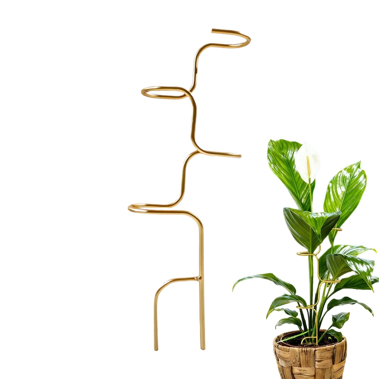 Rangka Penyangga Batang Tanama - Plant Support Stake ulasan dan harga