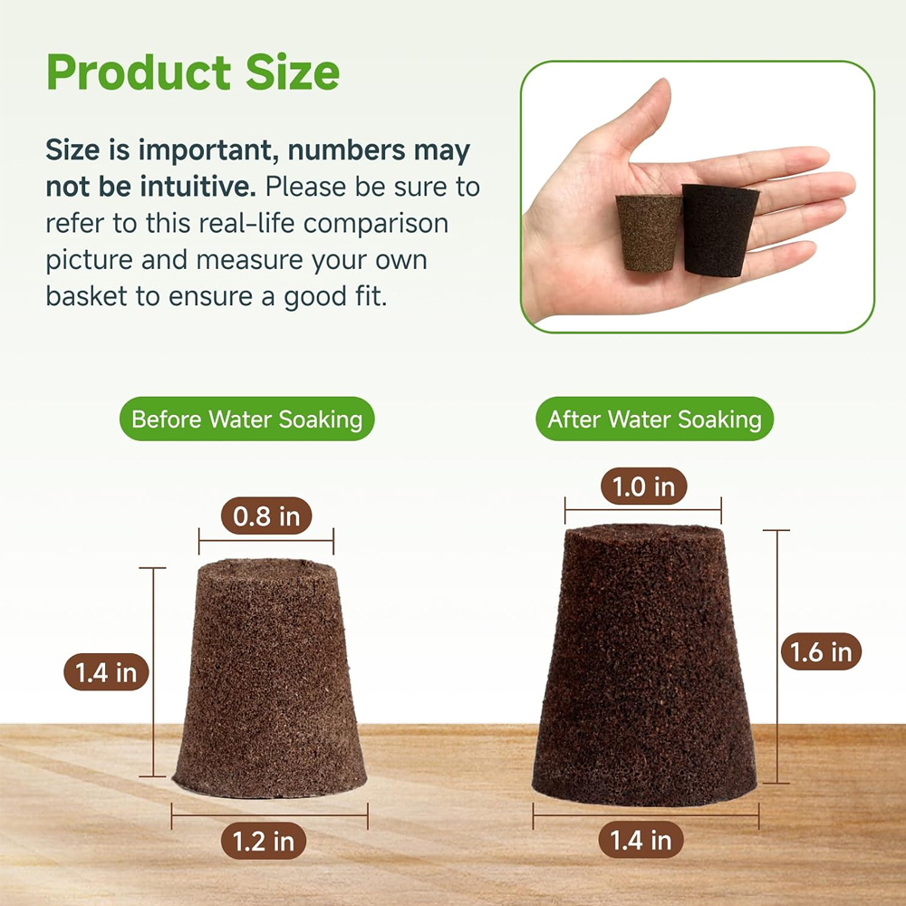20 Spons Hidroponik untuk Meny - Indoor Plants ulasan dan harga